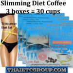 3 SLIMMING DIET INSTANT COFFEE Lose weight Burn Fat Detox Pretty White KOREA