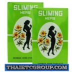 100 tea bags German Herb Sliming Diet fit Slimming Fast slim detox lose weight