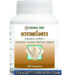 PUERARIA MIRIFICA BREAST BUST ENLARGE ENHANCE ENLARGEMENT FIRMING FIRM PILLS
