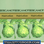 3 Bergamot Hair Loss Treatment Lotion Dandruff Itchy Dry Scalp Prevent hair loss