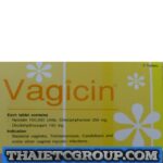 Candidiadis Thrush Yeast Infection Candida Treatment Vaginal Tablets Antifungal