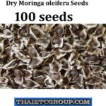 100 Organic MORINGA OLEIFERA Seeds for Asthma Cancer Diabetes Arthritis headache