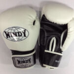 WINDY MUAY THAI GLOVES KICK BOXING MMA K1 BOXING SPARING FIGHTING 10 OZ - WHITE