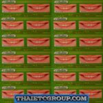 12 GREEN HERB Herbal Clove Toothpaste Tooth paste Anti Bacteria Bad Breath Decay