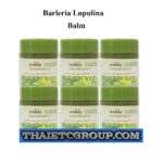 6 Pathom Asoke HERBAL GREEN BALM BARLERIA LUPULINA VASELINE MASSAGE PAIN RELIEF