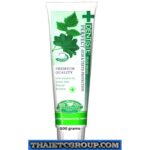 100g DENTIST DENTISTE PLUS WHITE VITAMIN C & XYLITOL GUM & TOOTH TOOTHPASTE