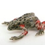 Buy Porcelain Miniatures Collectible Ceramic Red Legged Kasuna Frog FIGURINE