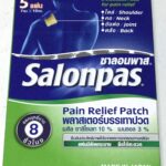 Buy Salonpas Pain Relief Patch (5 patches, each 2.75 in x 3.94 in) MADE IN JAPAN