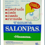 Buy Salonpas Effective Aches Pain Relief Patch Plaster Neck Shoulders 10 Pcs.