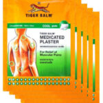 Buy 10 x BIG SIZE TIGER BALM PATCH PLASTER COOL COLD MEDICATED PAIN RELIEF