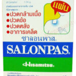 Buy SALONPAS Hisamitsu Effective Aches Pain Relief Patch Post Health Care 10 Pcs.